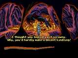 screenshot 343